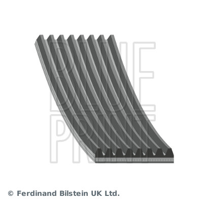 V-Ribbed Belt - AD08R1230 BLUE PRINT