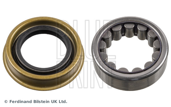 Wheel Bearing Kit - ADA108310 BLUE PRINT