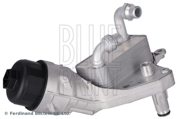 Carter, Filtro olio - ADBP210181 BLUE PRINT