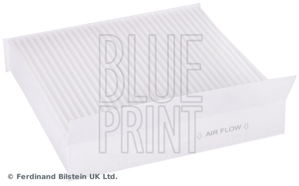 filtras, salono oras - ADBP250060 BLUE PRINT