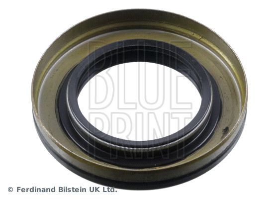 Shaft Seal, differential - ADBP640023 BLUE PRINT
