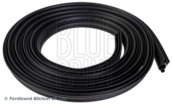 Door Seal - ADBP970012 BLUE PRINT