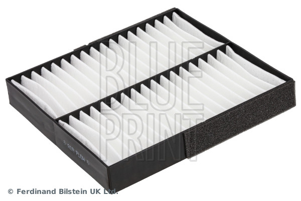 Filter, interior air - ADC42519 BLUE PRINT