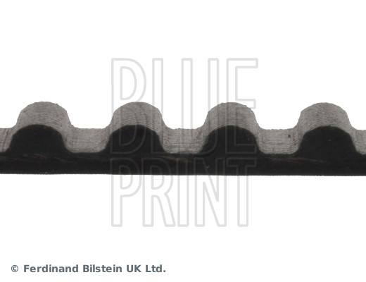 Timing Belt - ADC47511 BLUE PRINT