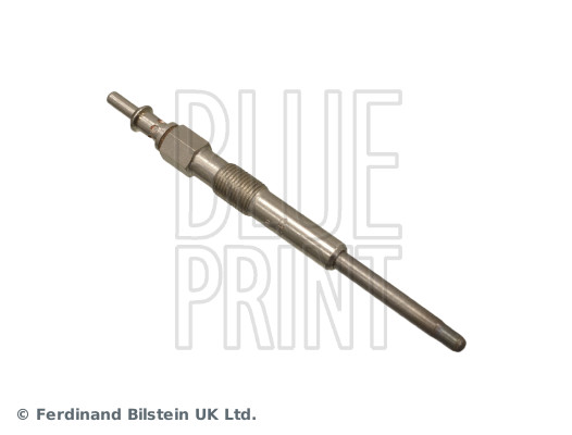 Candeletta - ADG01810 BLUE PRINT