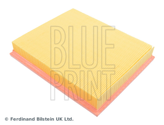 Air Filter - ADG02202 BLUE PRINT