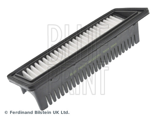 Air Filter - ADG02291 BLUE PRINT