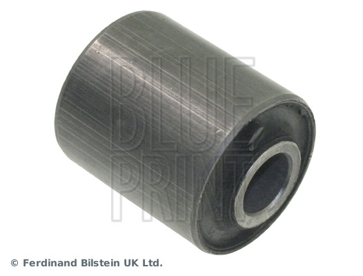 Supporto, Braccio oscillante - ADG080164 BLUE PRINT