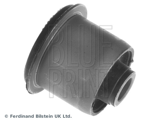 Supporto, Braccio oscillante - ADG080170 BLUE PRINT
