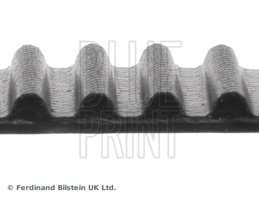 Timing Belt - ADM57517 BLUE PRINT