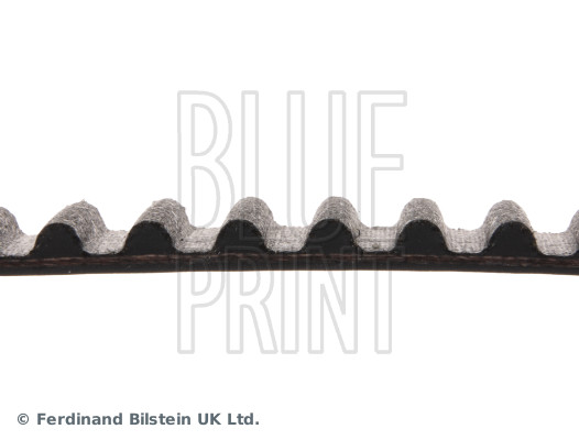 Timing Belt - ADM57526 BLUE PRINT