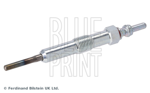 Candeletta - ADN11830 BLUE PRINT