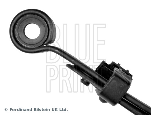 Spring Pack - ADN18818 BLUE PRINT