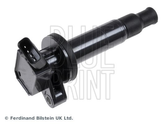 ritė, uždegimas - ADT31477 BLUE PRINT