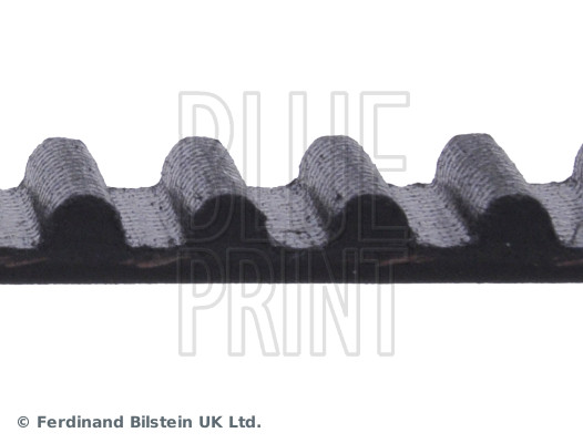 Timing Belt - ADT37521 BLUE PRINT