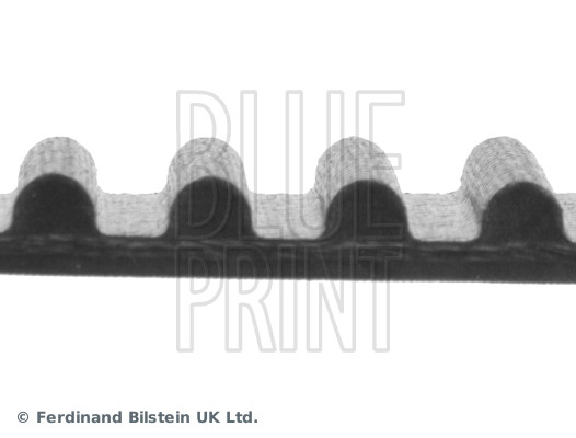 Timing Belt - ADT37528 BLUE PRINT