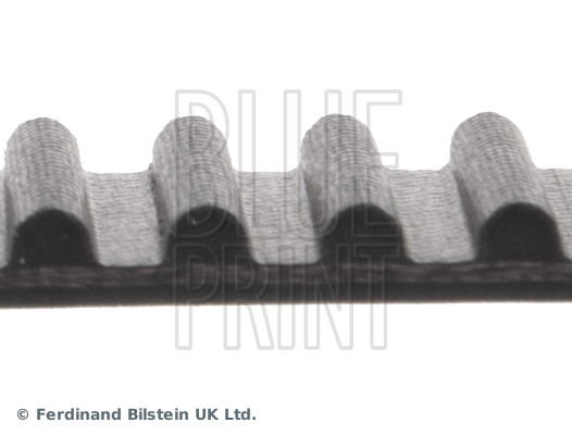 Timing Belt - ADT37537 BLUE PRINT