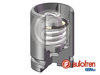 Piston, brake caliper - D025233K AUTOFREN SEINSA