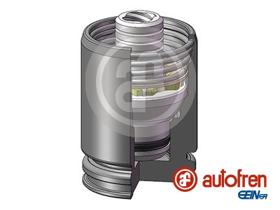 Piston, brake caliper - D025241K AUTOFREN SEINSA