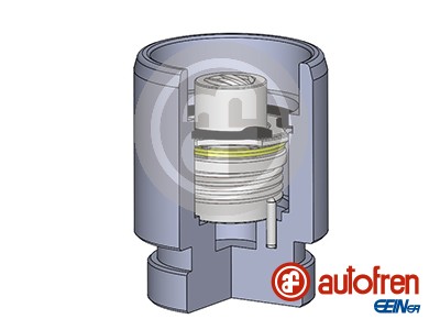 Pistone, Pinza freno - D025281K AUTOFREN SEINSA