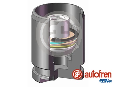 Pistone, Pinza freno - D025577K AUTOFREN SEINSA