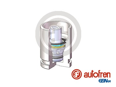 Piston, brake caliper - D025698K AUTOFREN SEINSA