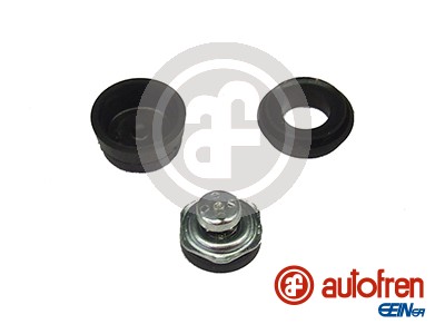 Repair Kit, brake master cylinder - D1042 AUTOFREN SEINSA