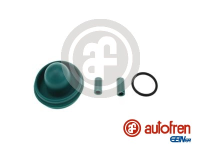 Repair Kit, brake master cylinder - D1049 AUTOFREN SEINSA