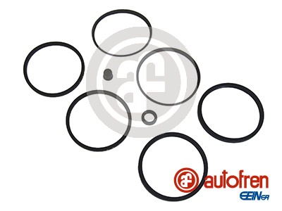 Repair Kit, brake caliper - D4079 AUTOFREN SEINSA