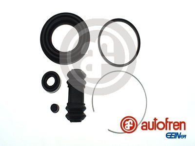 Repair Kit, brake caliper - D4209 AUTOFREN SEINSA