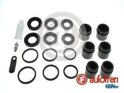 Repair Kit, brake caliper - D42311C AUTOFREN SEINSA