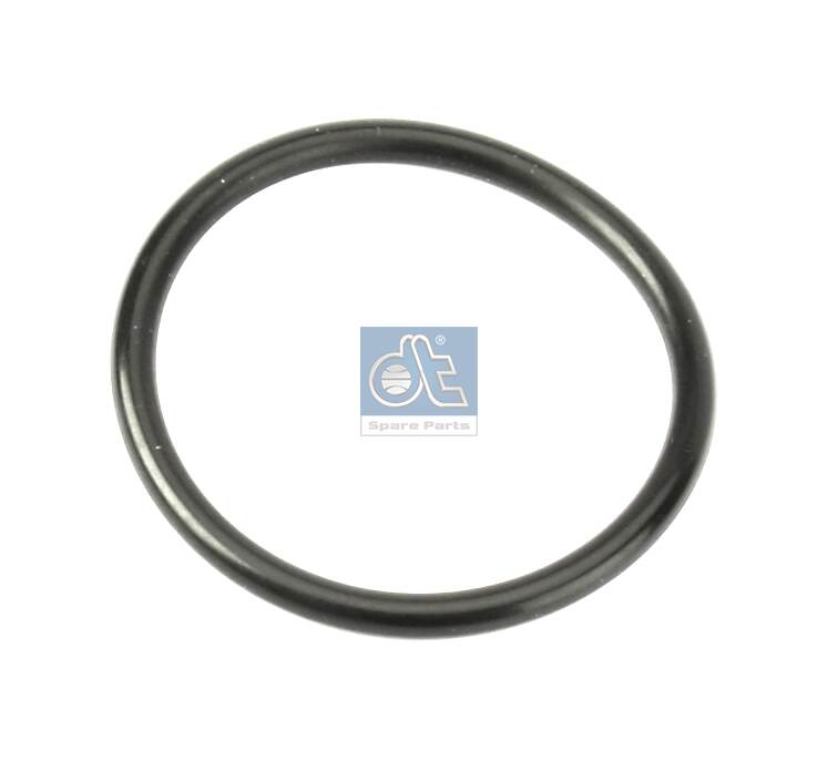 Anello di tenuta - 1.18213 DT Spare Parts