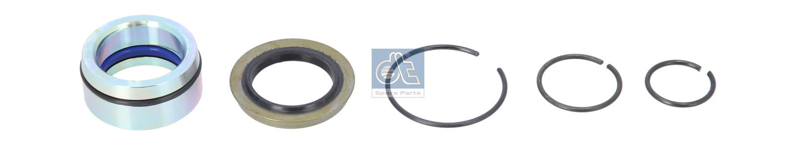 Kit riparazione, Cilindro ribaltamento - 1.32317 DT Spare Parts