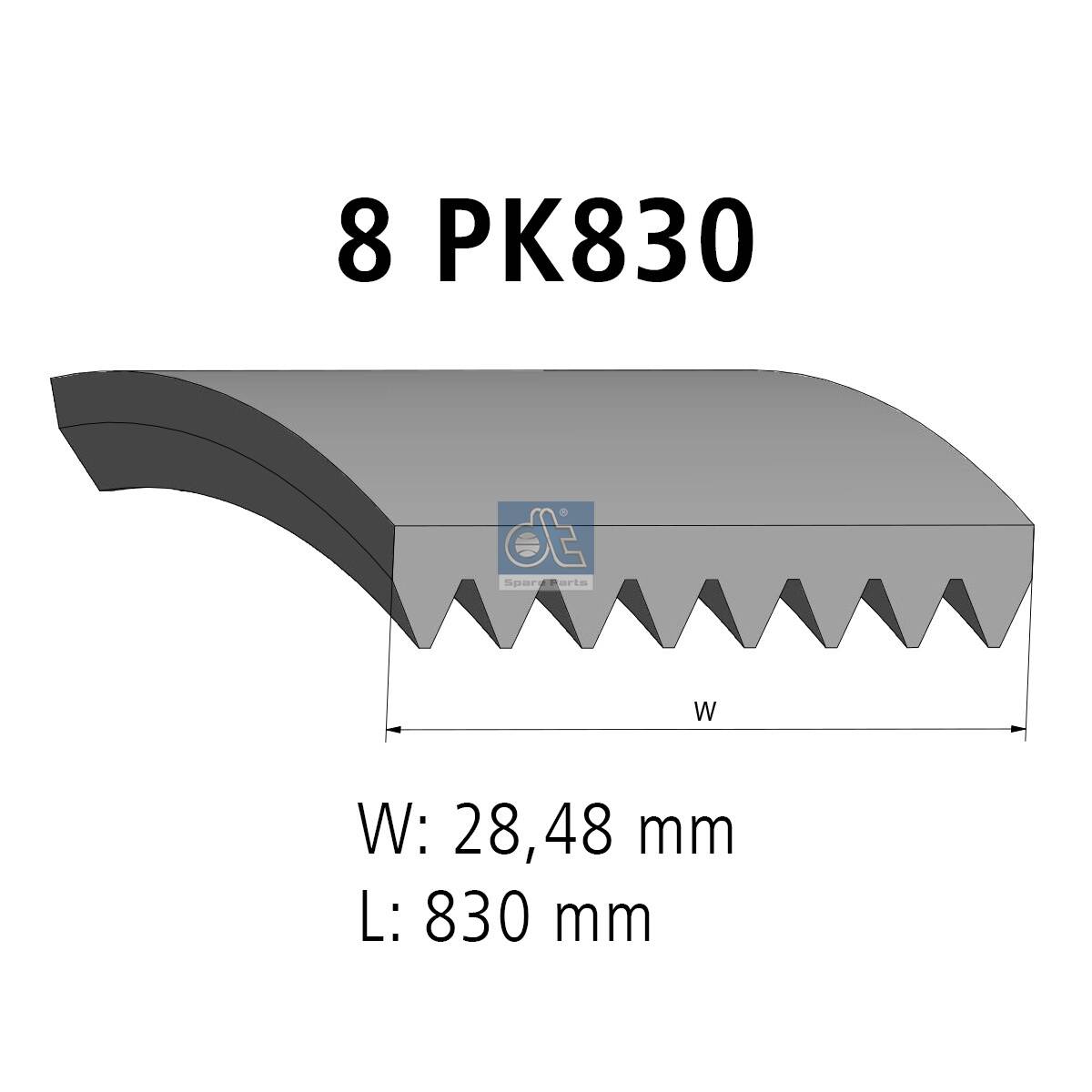 Cinghia Poly-V - 2.21058 DT Spare Parts