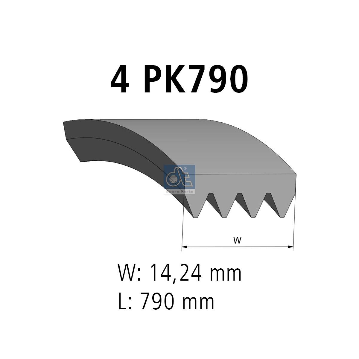 Cinghia Poly-V - 3.34300 DT Spare Parts
