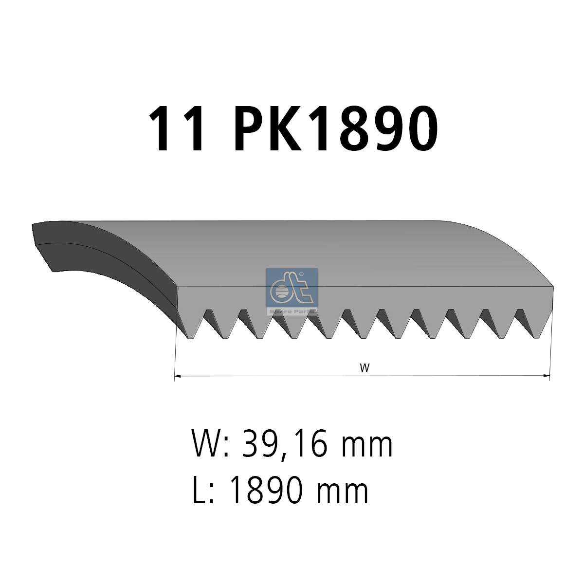 V-Ribbed Belt - 4.80392 DT Spare Parts