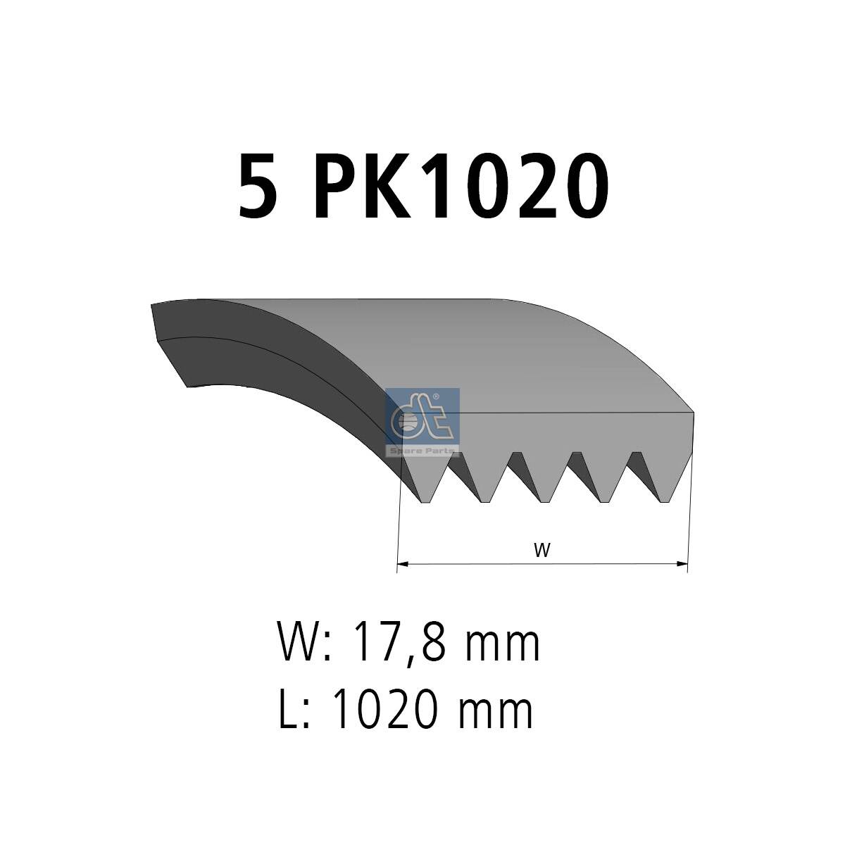 Cinghia Poly-V - 6.31501 DT Spare Parts