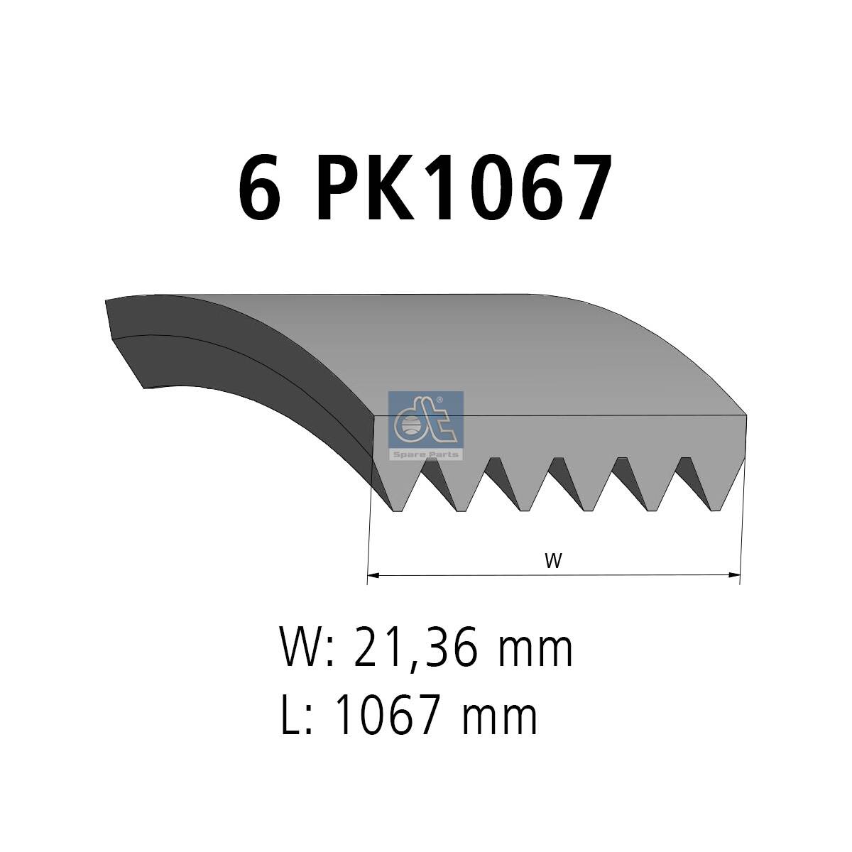 Keilrippenriemen - 6.31511 DT Spare Parts