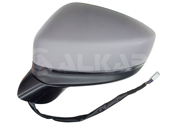 išorinis veidrodėlis - 6145738 ALKAR