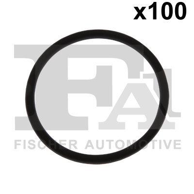 Seal Ring - 076.429.100 FA1