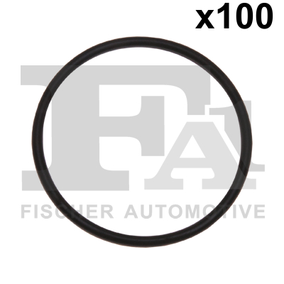 Seal Ring - 076.529.005 FA1