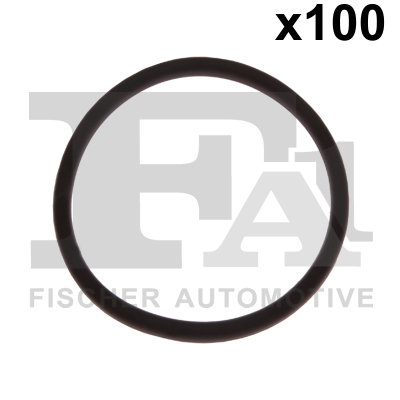 Seal Ring - 076.569.100 FA1