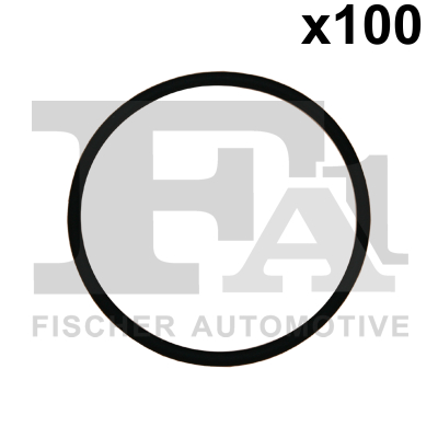 Seal Ring - 076.572.005 FA1
