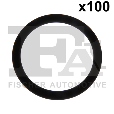 Seal Ring - 076.575.100 FA1