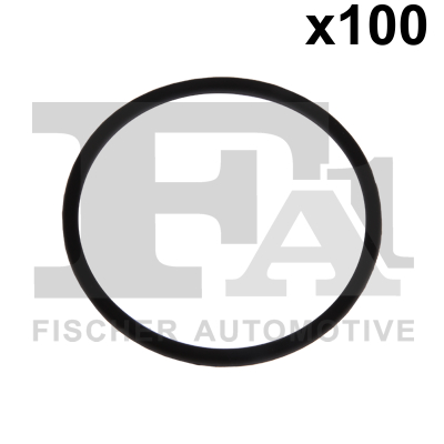 Seal Ring - 076.589.100 FA1