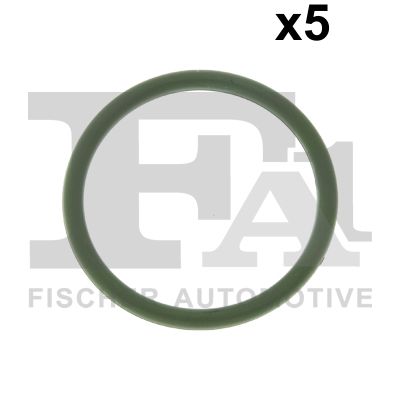 Seal Ring - 076.620.005 FA1