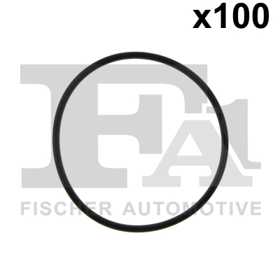 Уплотнительное кольцо - 076.672.005 FA1
