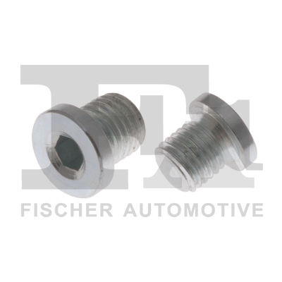 Sealing Plug, oil sump - 257.829.001 FA1