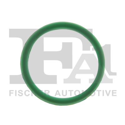 Guarnizione, Collettore aspirazione - 521-007 FA1