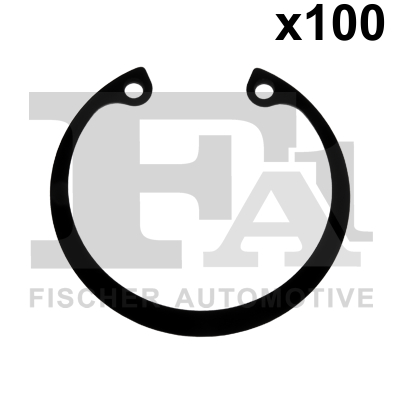 Seal Ring - 554.870.100 FA1